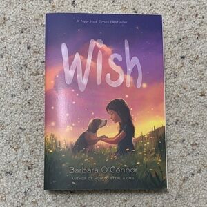 New York Times bestseller “Wish” book
